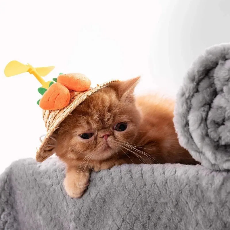 Savvy Tails™ Warm Soft Fuzzy Blankets for Pet